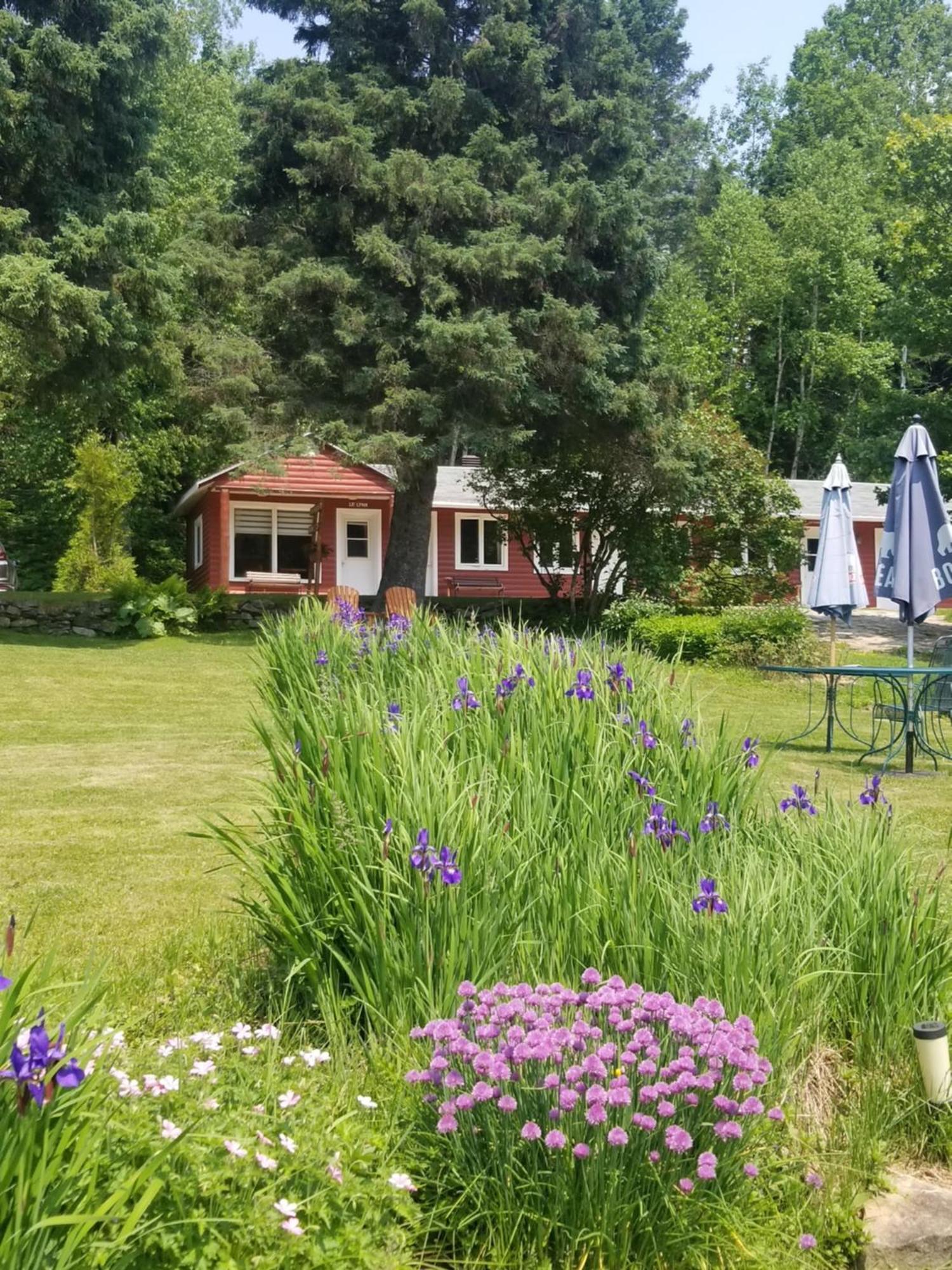Kan-A-Mouche Pourvoirie Auberge Et Chalets Saint-Michel Rom bilde